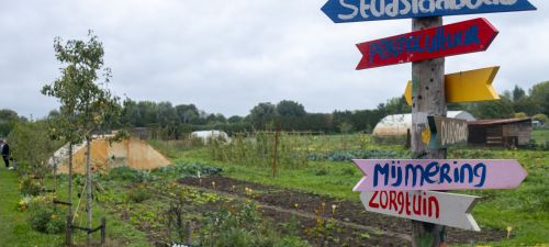 Workshops Stadslandbouw Mooieweg