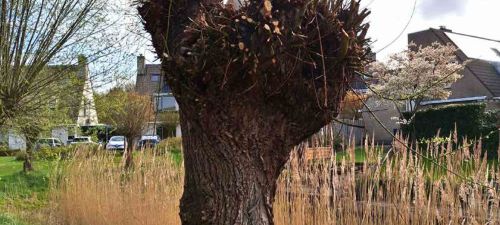 Woerdje nr 3_2026