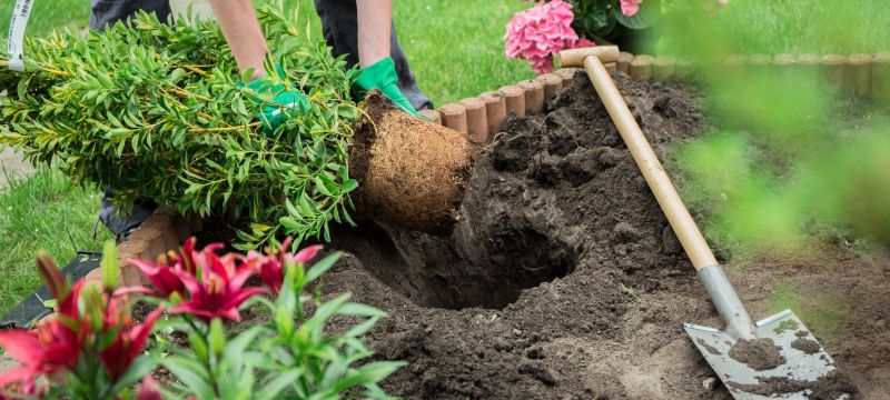 Rijkerswoerd nog groener