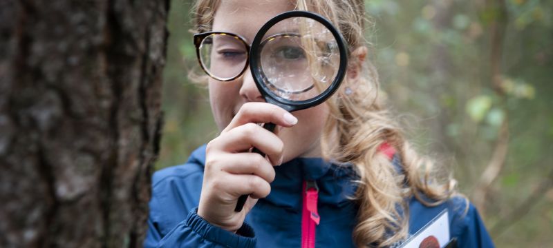 Zomeractiviteiten Natuurcentrum Rijkerswoerd