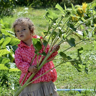 Moestuinieren voor kinderen op Stadsboerderij de Korenmaat
