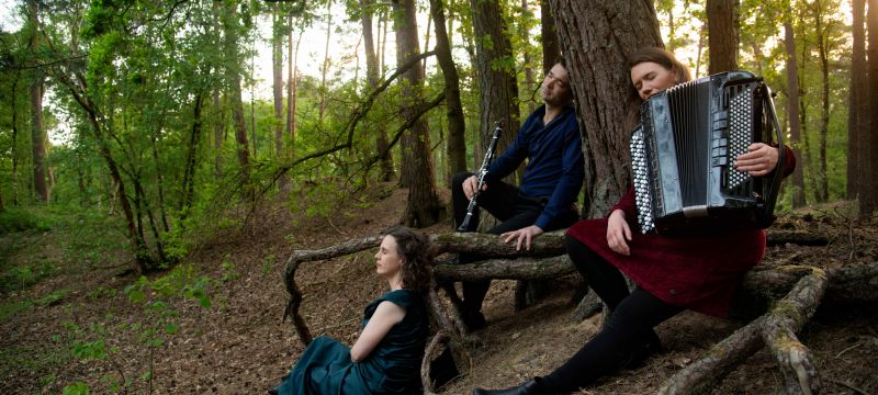 Concert voor de Nacht door Het Linnaeus trio- 14 en 15 juni