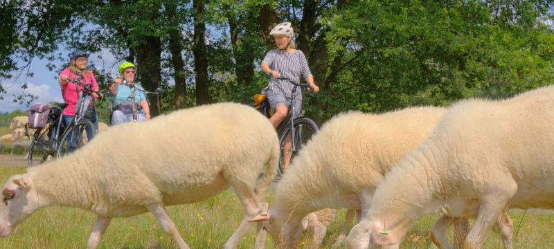 Fiets je fit 38e editie